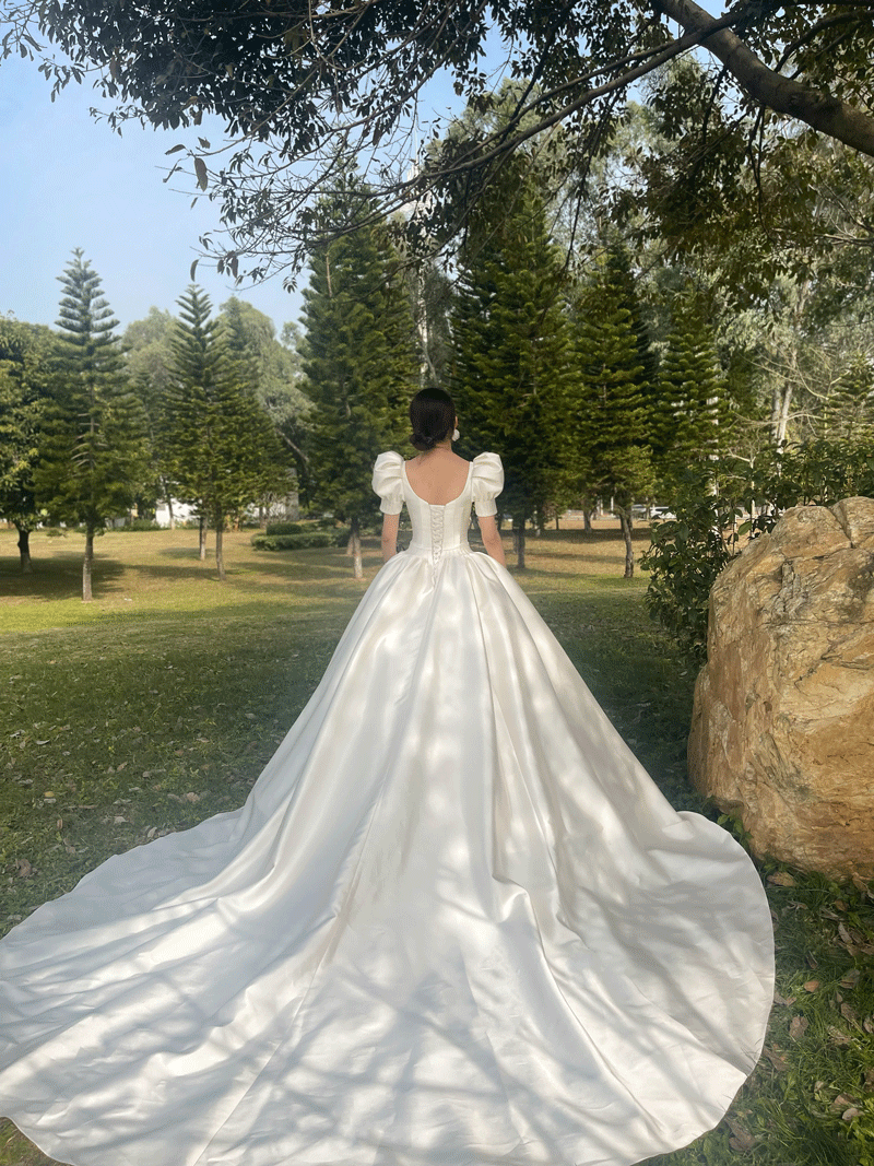 lace short-sleeved princess wedding dress.jpg